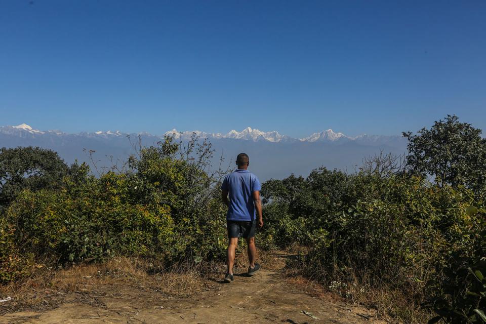 Guided Walks to the View Tower